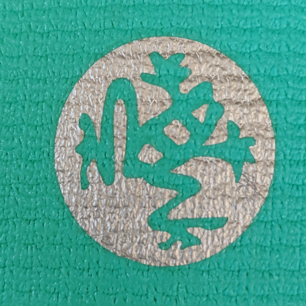 Like New Manduka Pro Teal Yoga Mat Free gift!